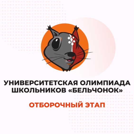 Стартовал отборочный этап олимпиады школьников «Бельчонок»