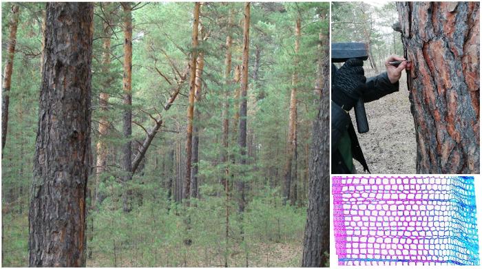 Проект лаборатории поддержан РНФ