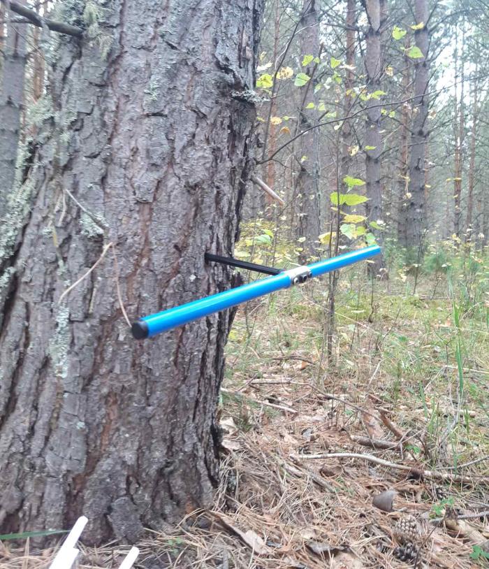 Объединённый научный семинар с кафедрой экологии и природопользования СФУ