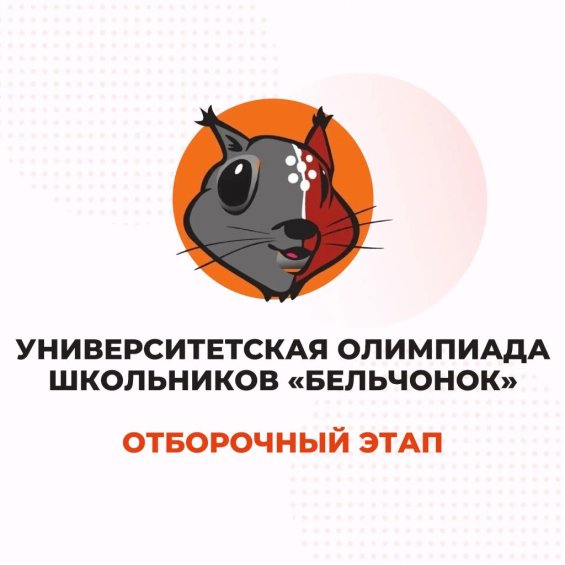 Начался отборочный этап олимпиады школьников «Бельчонок»