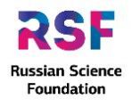 The research project of the laboratory team received financial support from the Russian Science Foundation in the framework of the competition of small individual scientific groups