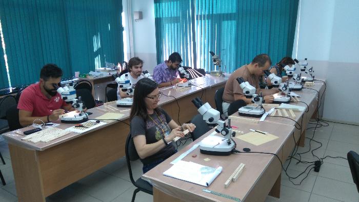 The International Summer School has completed its work