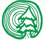 Открытие Международной летней школы