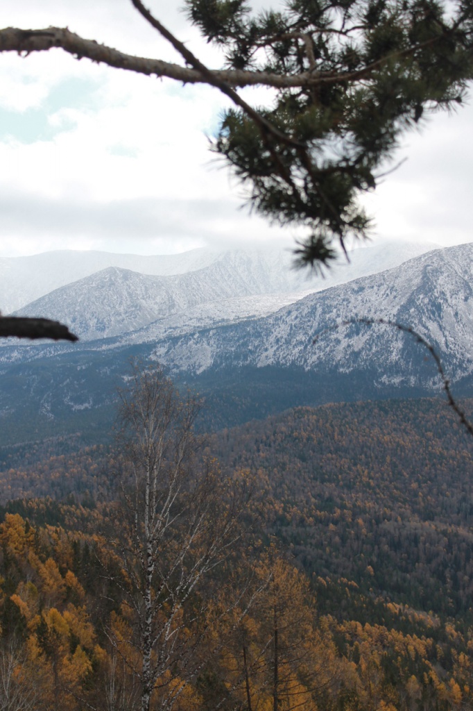 2014-Borus_3.jpg 2014-Borus_3.jpg