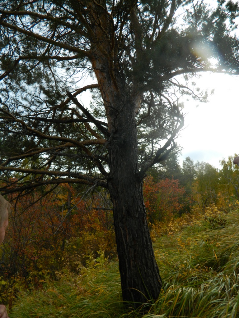 2012 Kaly_4.jpg 2012 Kaly_4.jpg