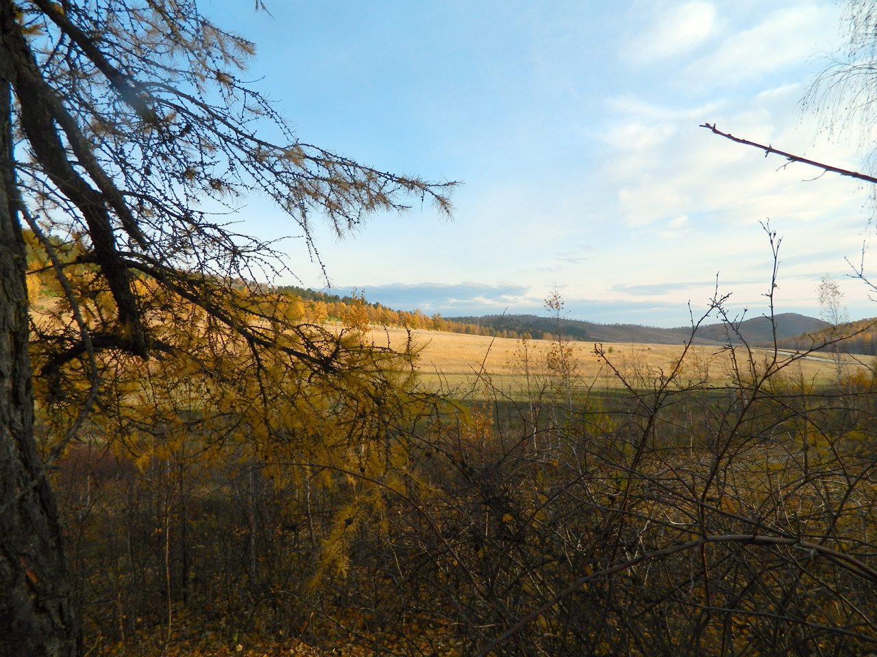 2012 Bidzha_2.jpg 2012 Bidzha_2.jpg