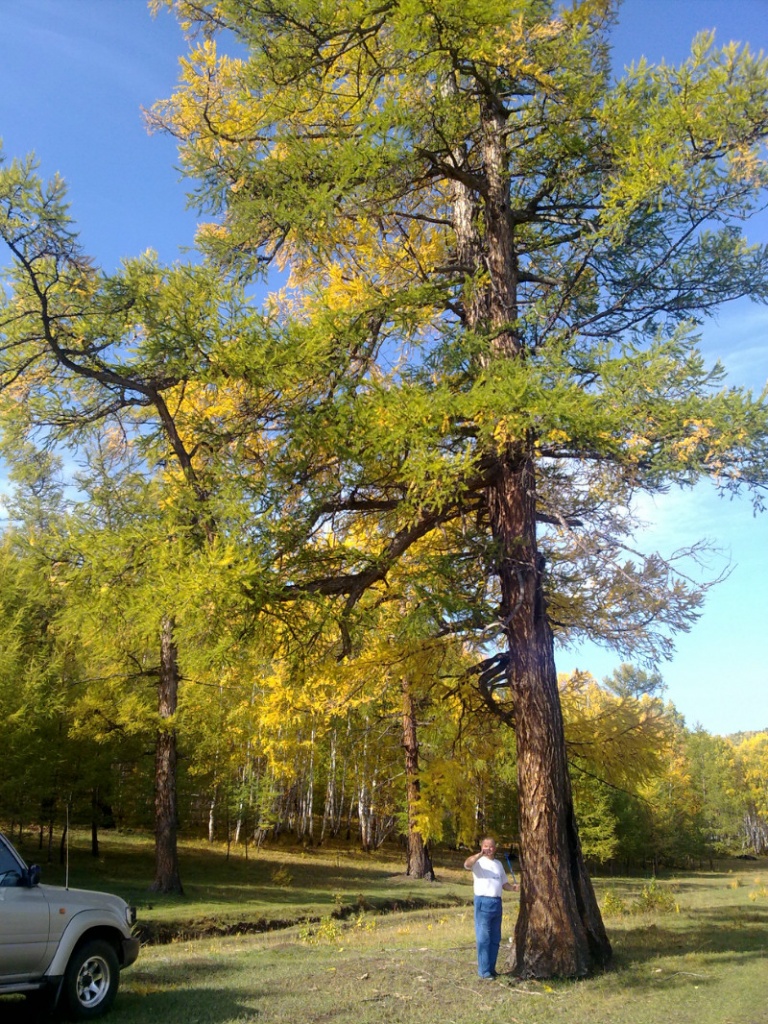 2012 Kamyzyak_2.jpg 2012 Kamyzyak_2.jpg