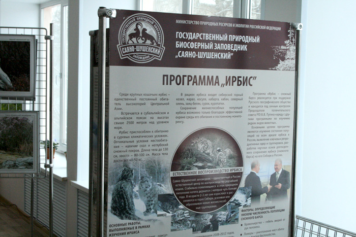 IMG_5662.JPG