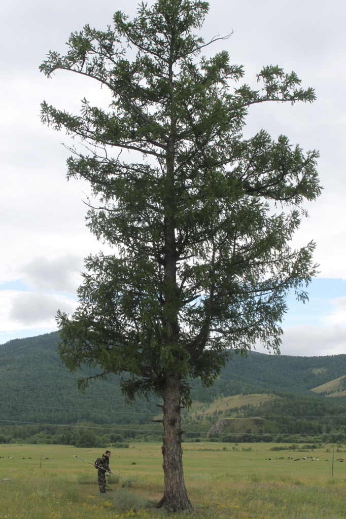 2014-Shirinskiy-rayon_Efremkino_4.jpg 2014-Shirinskiy-rayon_Efremkino_4.jpg