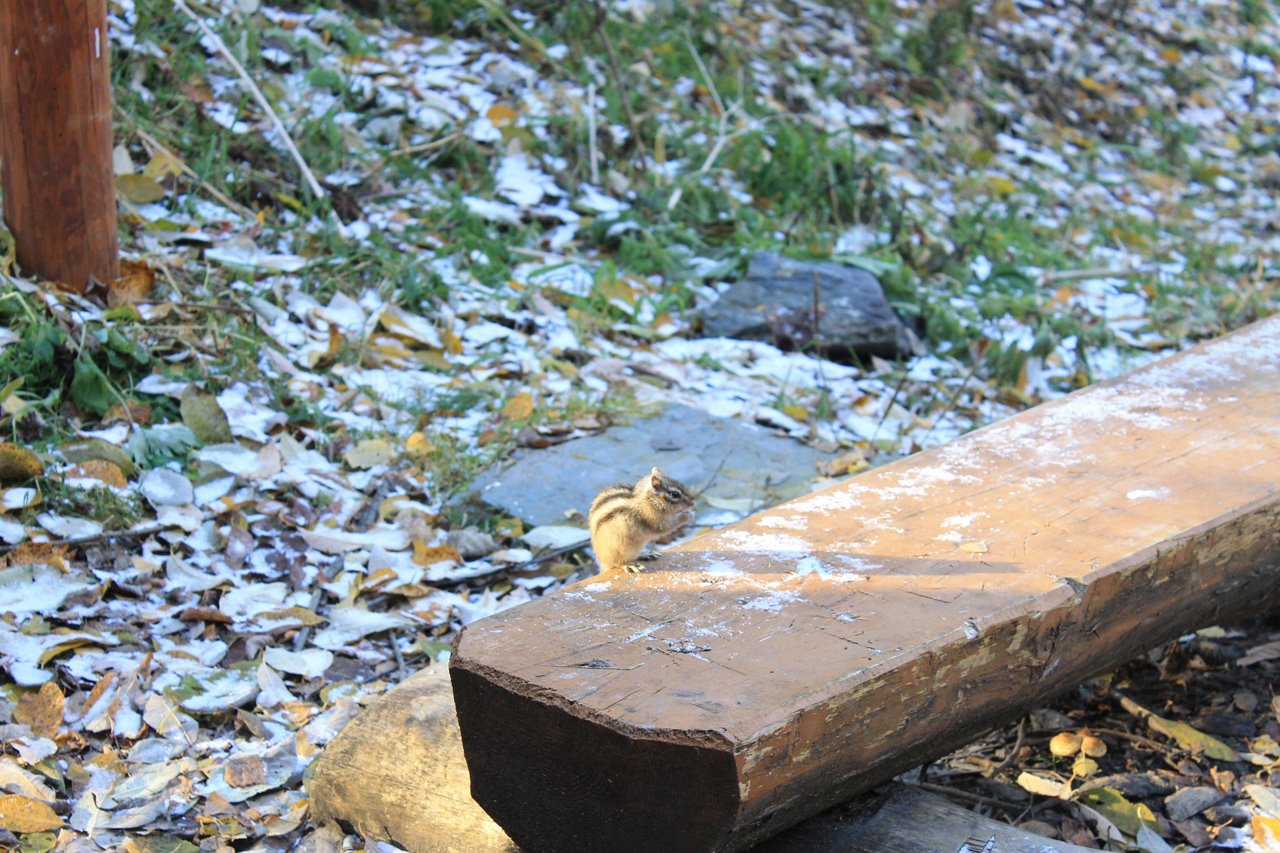 2014-Borus_7.jpg 2014-Borus_7.jpg