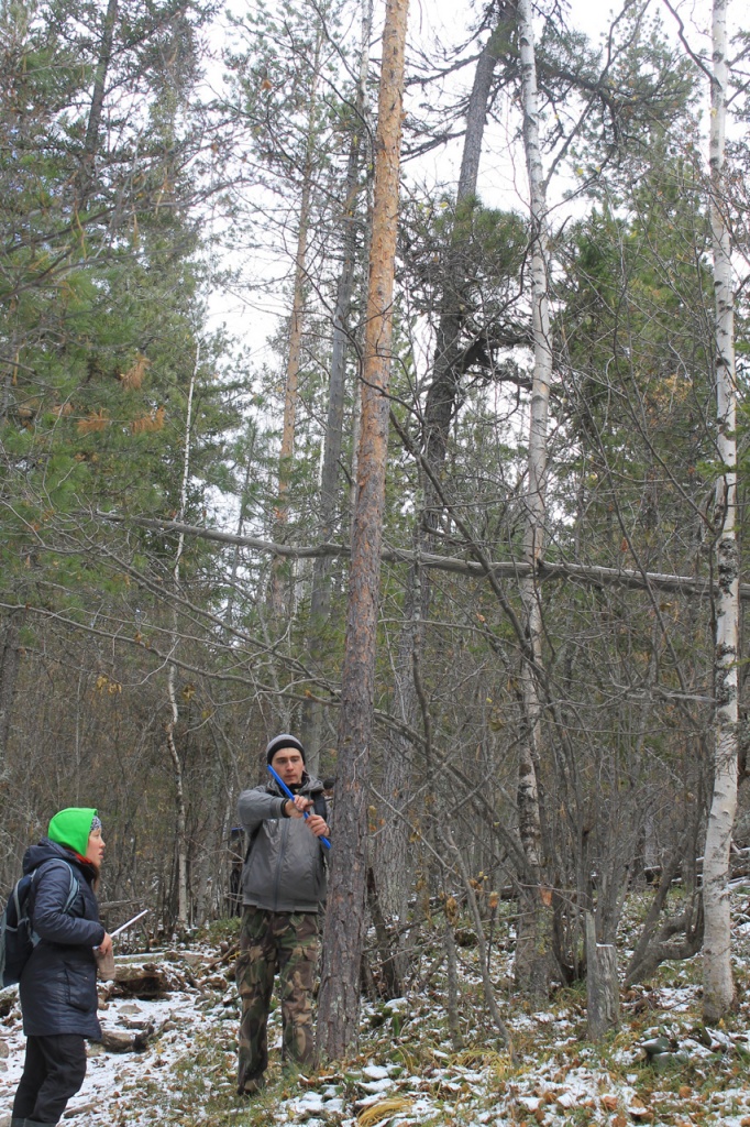 2014-Borus_4.jpg 2014-Borus_4.jpg