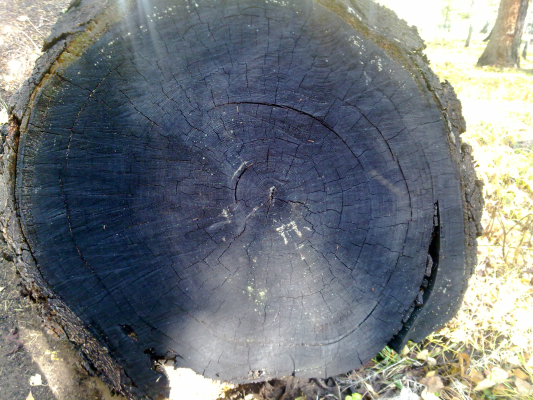 2012 Kamyzyak_1.jpg 2012 Kamyzyak_1.jpg