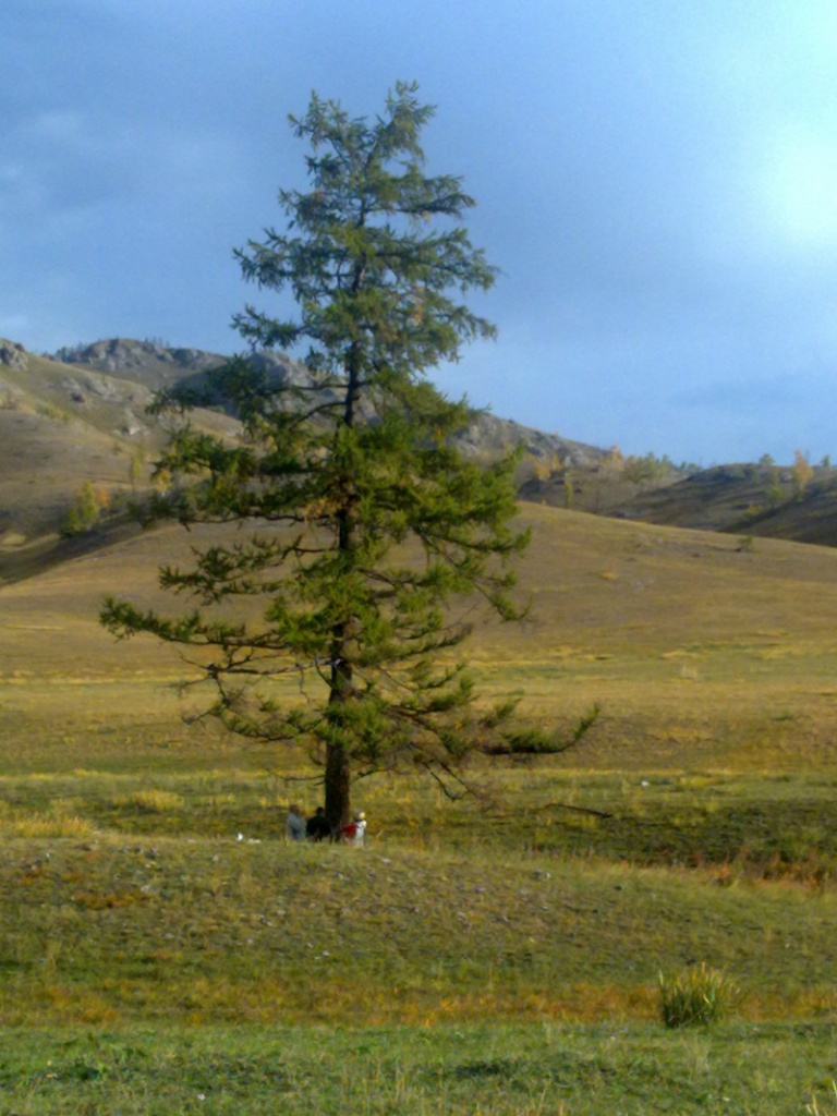 2012 Kamyzyak_3.jpg 2012 Kamyzyak_3.jpg