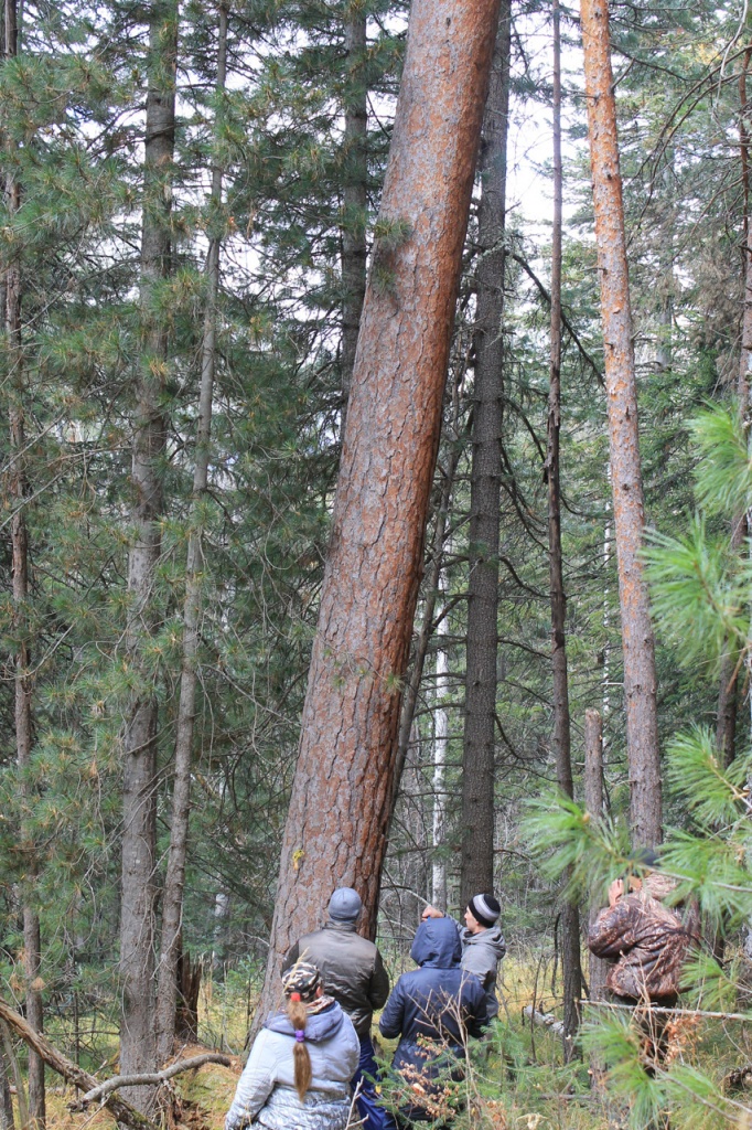 2014-Borus_2.jpg 2014-Borus_2.jpg