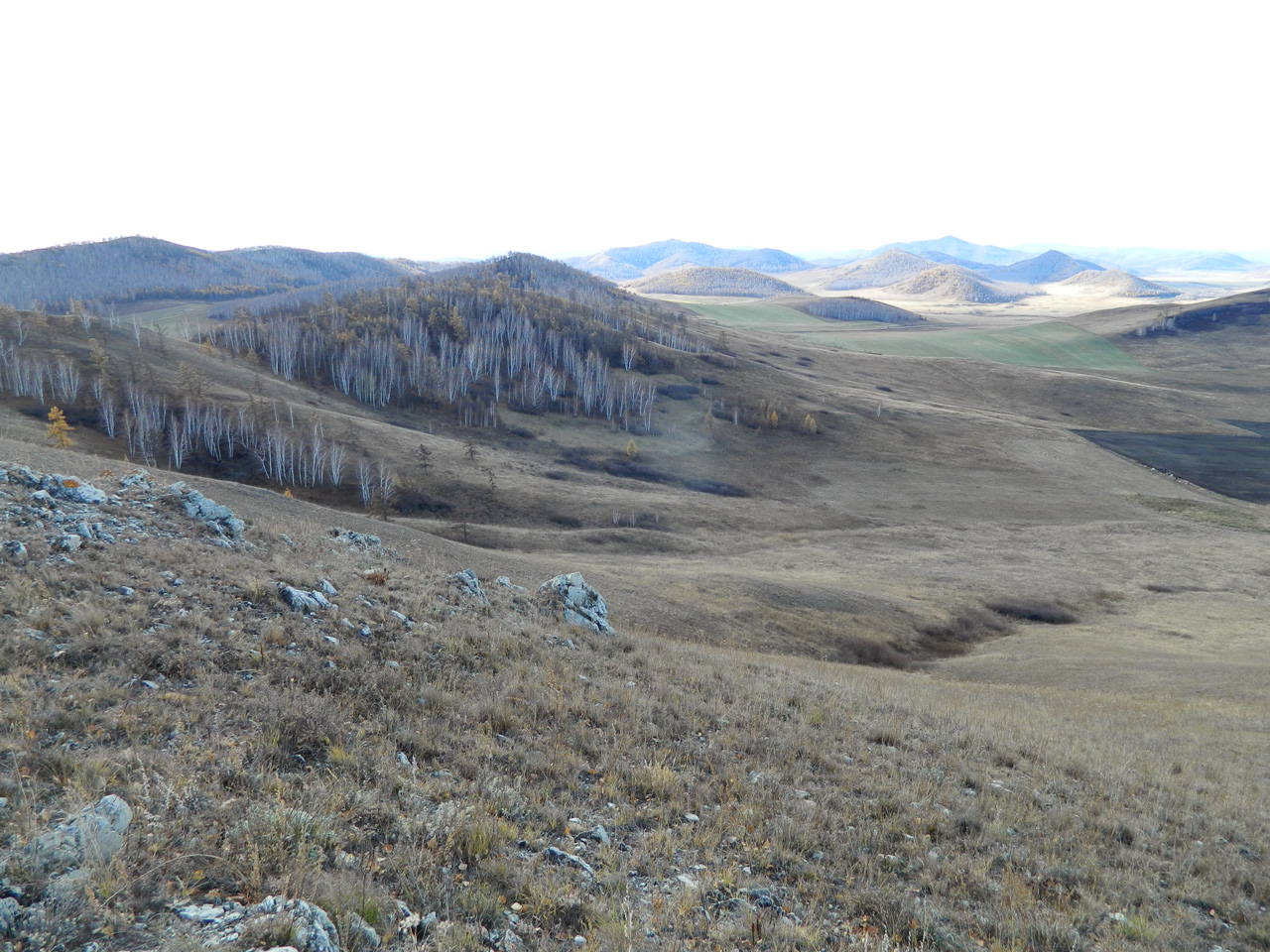 2013 Bogradskiy-rayon_Katyushkino_Son_1.jpg 2013 Bogradskiy-rayon_Katyushkino_Son_1.jpg