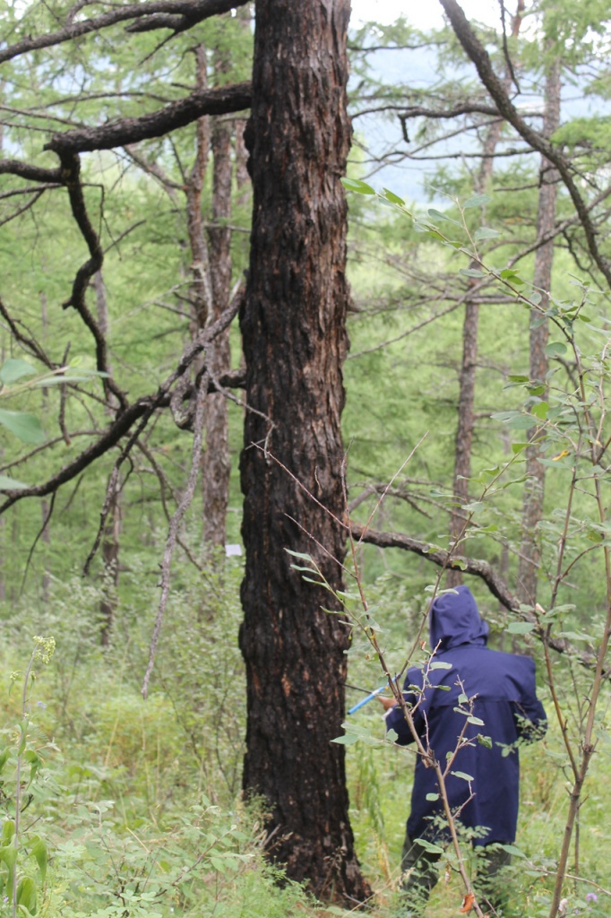 2014-Shirinskiy-rayon_Efremkino_2.jpg 2014-Shirinskiy-rayon_Efremkino_2.jpg